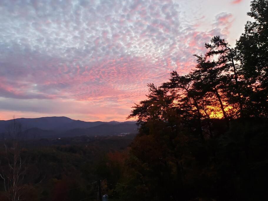 Yogi'S Den: Breathtaking Views! 3 Min To Dollywood, On 1 Acre! Villa Sevierville Exterior photo