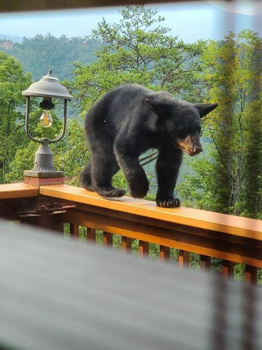 Yogi'S Den: Breathtaking Views! 3 Min To Dollywood, On 1 Acre! Villa Sevierville Exterior photo